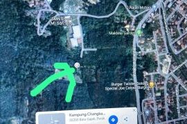 anakgonda