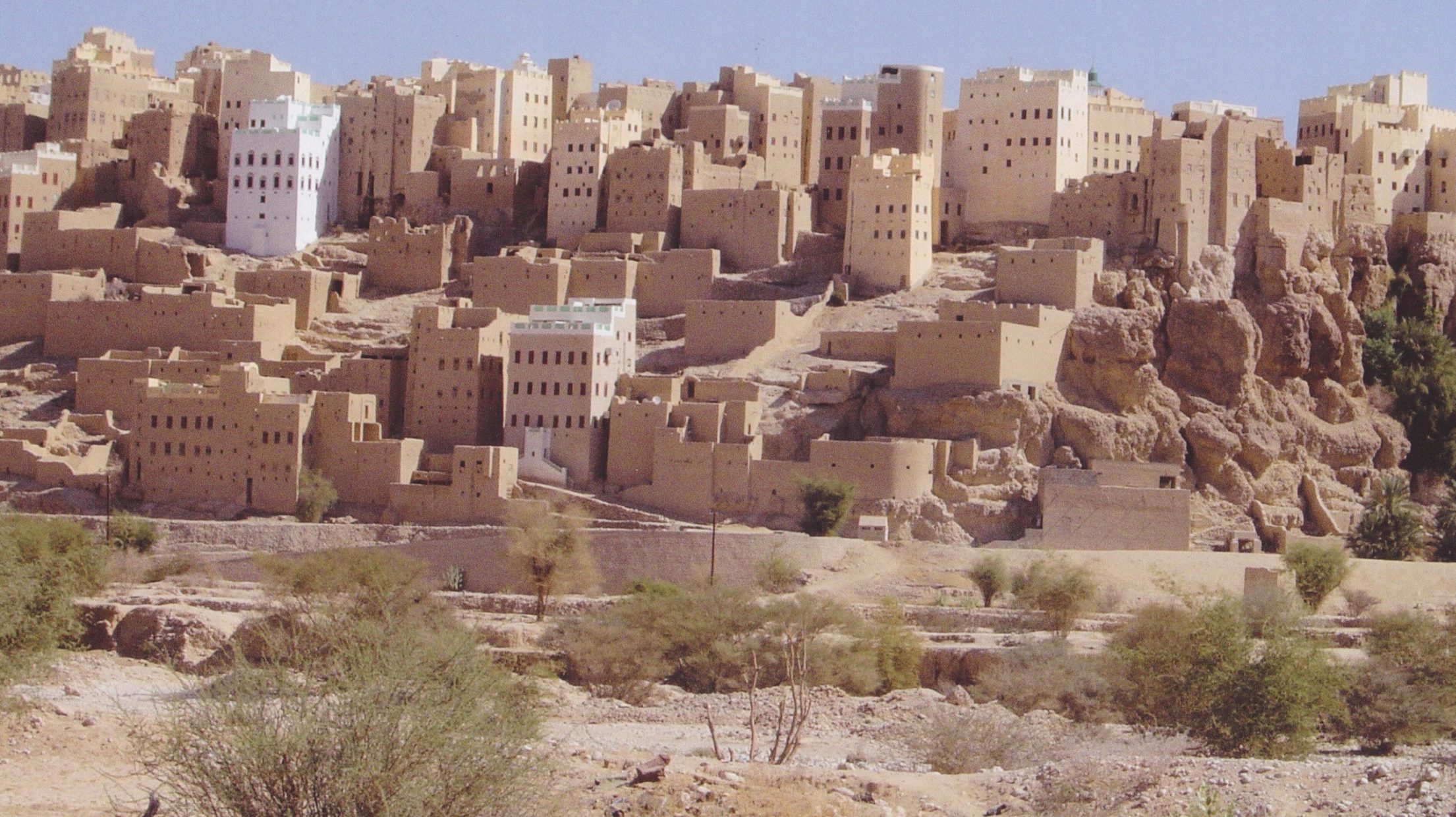Branch-Samar Hadramaut 1 branch samar hadramaut