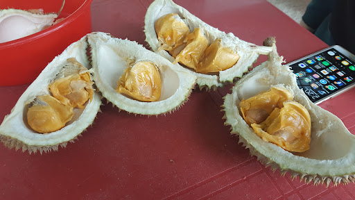 Malacca Durian Heng
