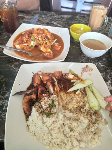 Nasi Ayam Apollo Farid