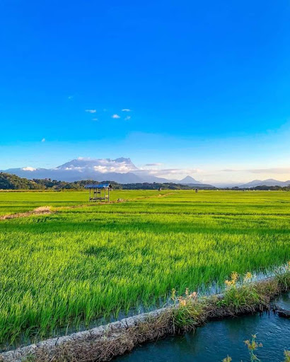 Kampung Sangkir Kampung Sangkir