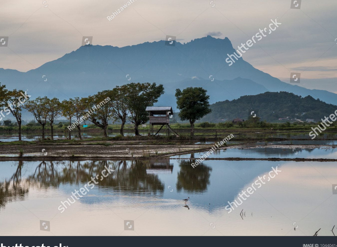 Kampung Sangkir 1 kampung sangkir