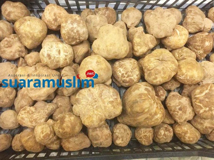 makanan arab terbaik di padang mat sirat
