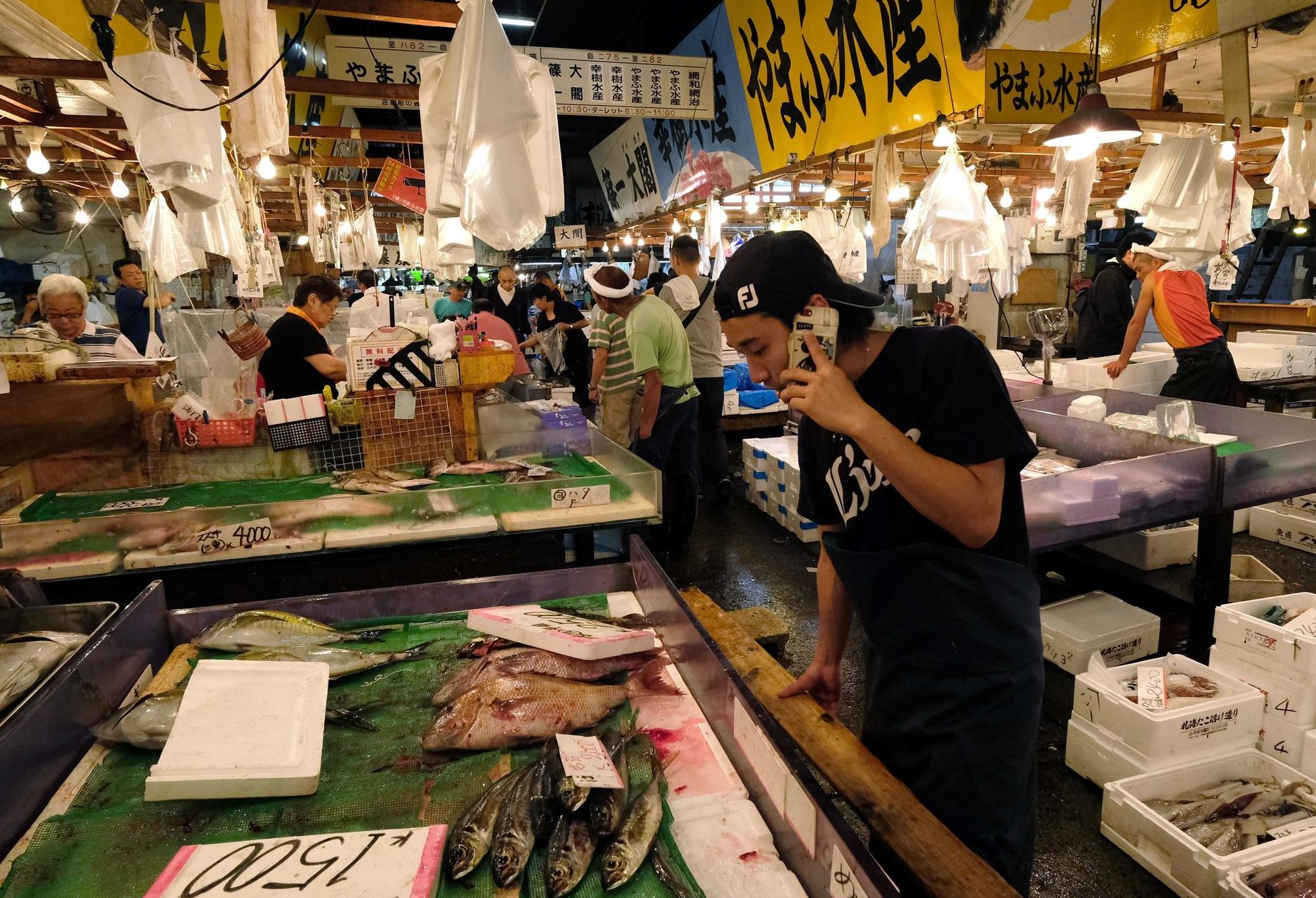 XJY Fish Market 1 xjy fish market
